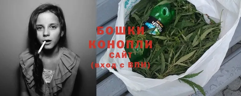 Канабис White Widow  как найти   Морозовск 